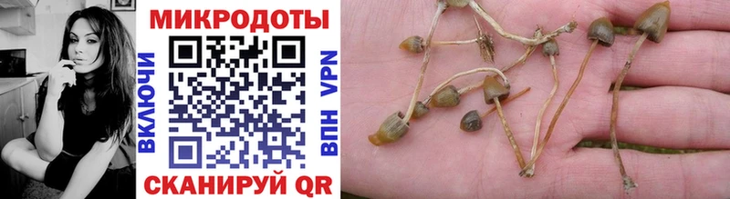 продажа наркотиков  Артёмовский  гидра вход  Псилоцибиновые грибы MAGIC MUSHROOMS 